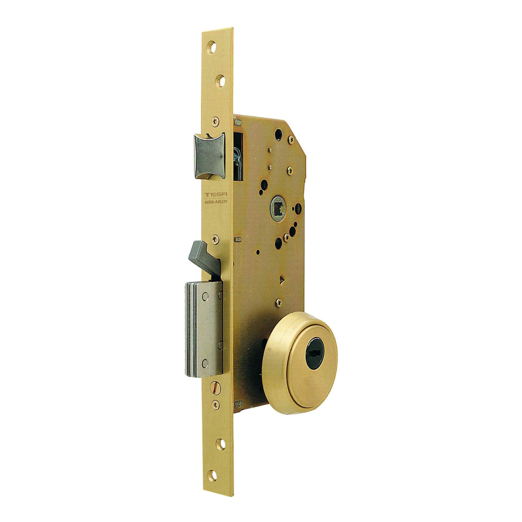 Cerradura de Alta Seguridad Tesa R200